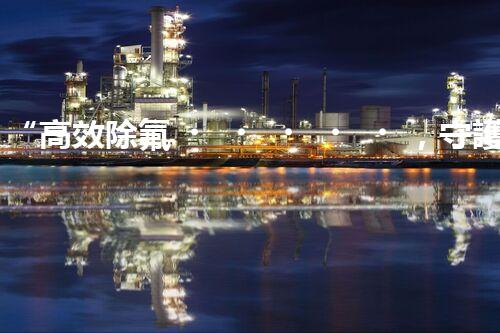 “高效除氟，守護碧水藍天——廢水中氟離子處理新篇章”